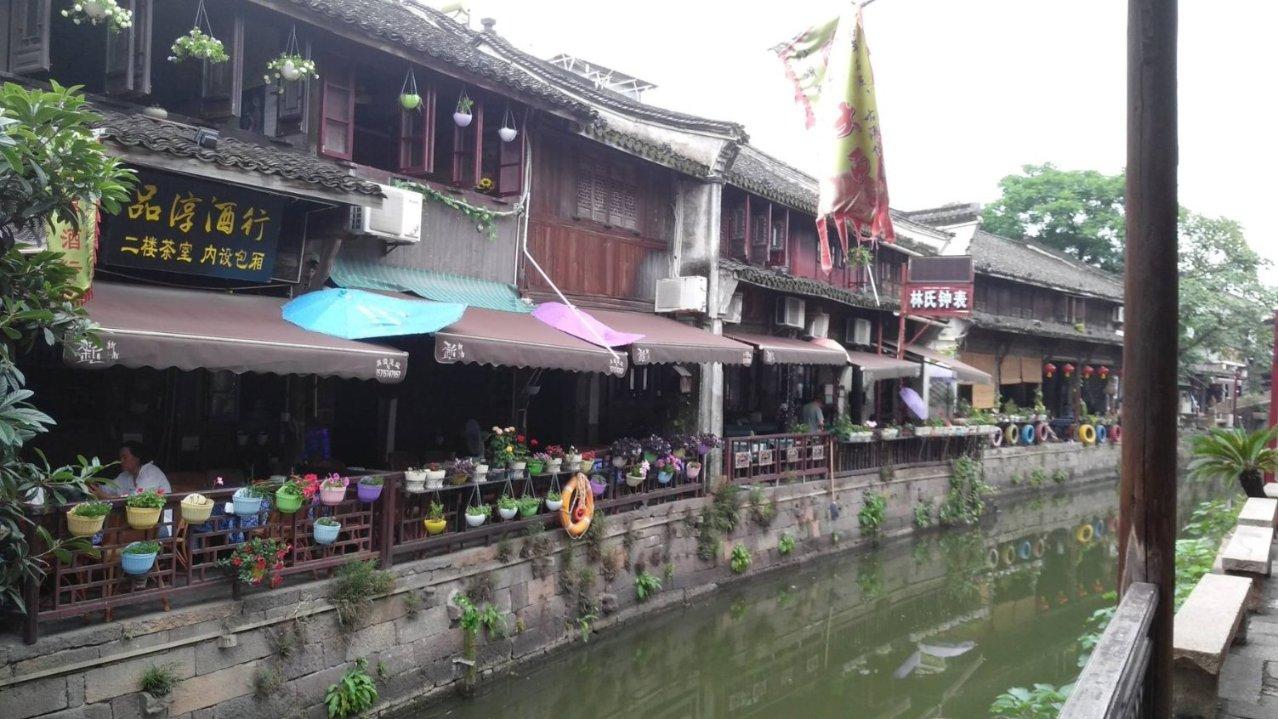 动物帮帮忙保卫家园